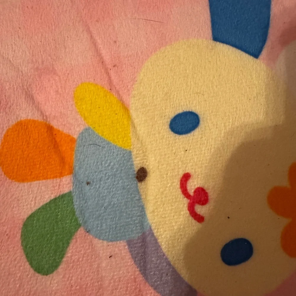 Cutecore🍓SANRIO Rug Lot - Picture 11 of 11